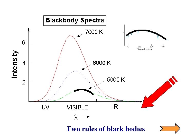 Two rules of black bodies 