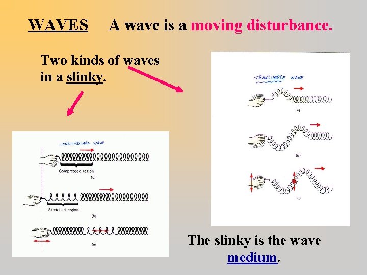 WAVES A wave is a moving disturbance. Two kinds of waves in a slinky.
