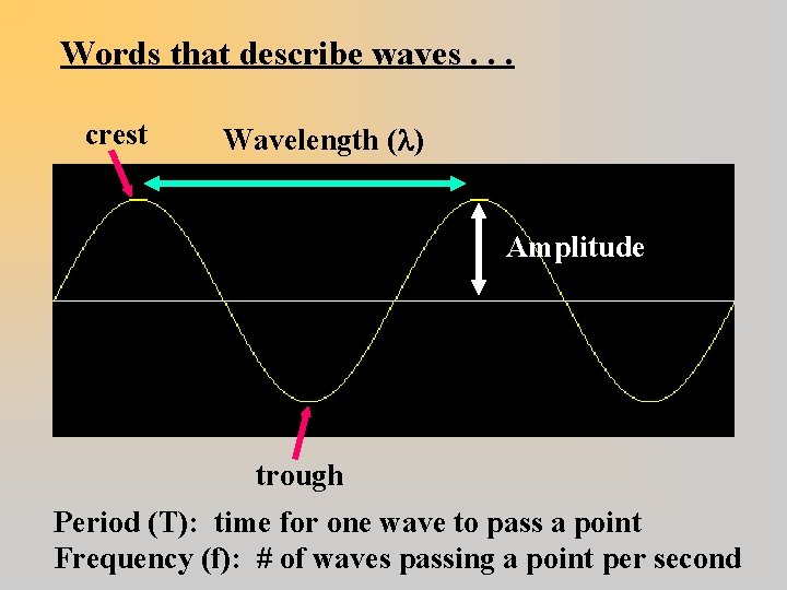 Words that describe waves. . . crest Wavelength ( ) Amplitude trough Period (T):