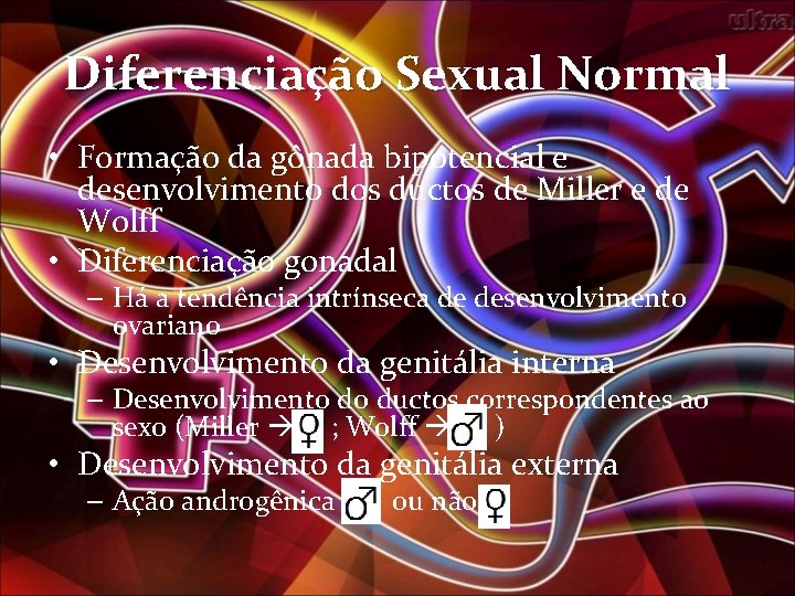 Diferenciação Sexual Normal • Formação da gônada bipotencial e desenvolvimento dos ductos de Miller