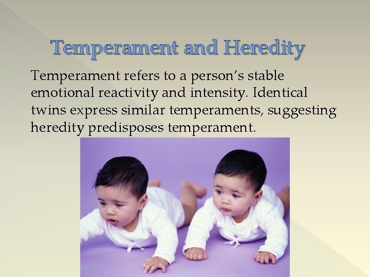 Temperament and Heredity Temperament refers to a person’s stable emotional reactivity and intensity. Identical