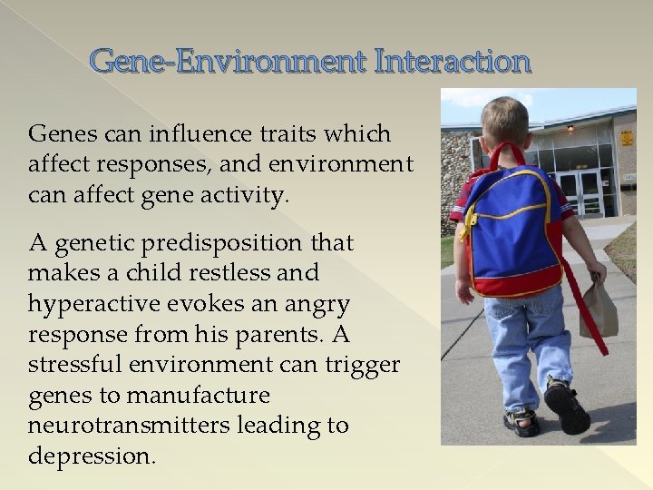 Gene-Environment Interaction Genes can influence traits which affect responses, and environment can affect gene