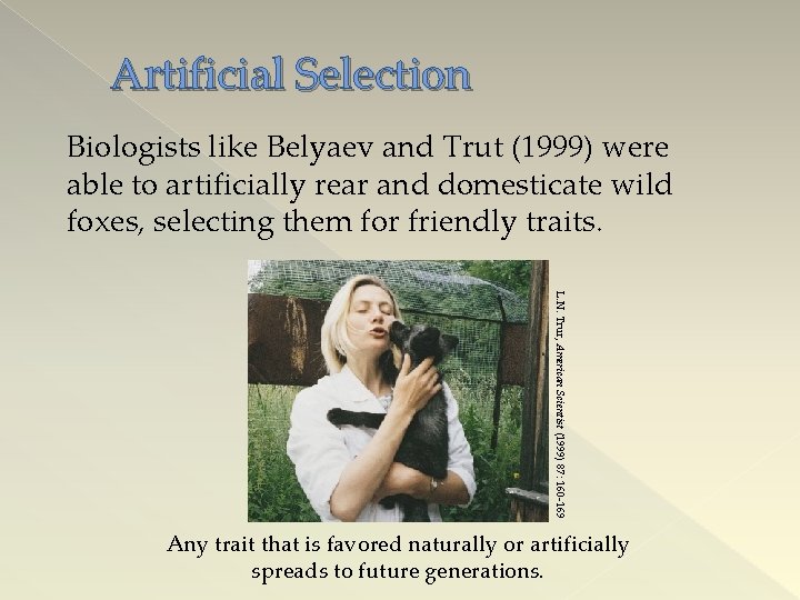 Artificial Selection Biologists like Belyaev and Trut (1999) were able to artificially rear and