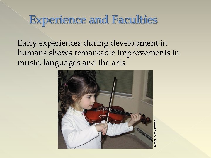 Experience and Faculties Early experiences during development in humans shows remarkable improvements in music,