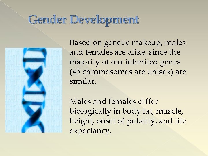 Gender Development Based on genetic makeup, males and females are alike, since the majority