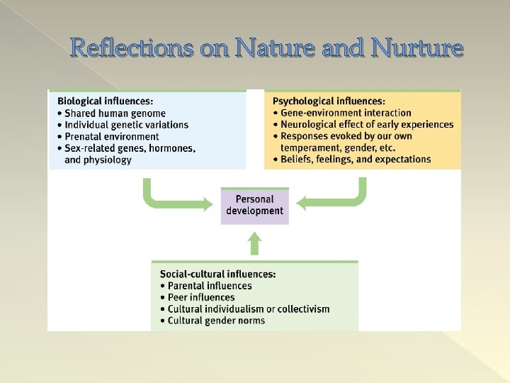 Reflections on Nature and Nurture 