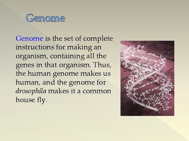 Genome is the set of complete instructions for making an organism, containing all the