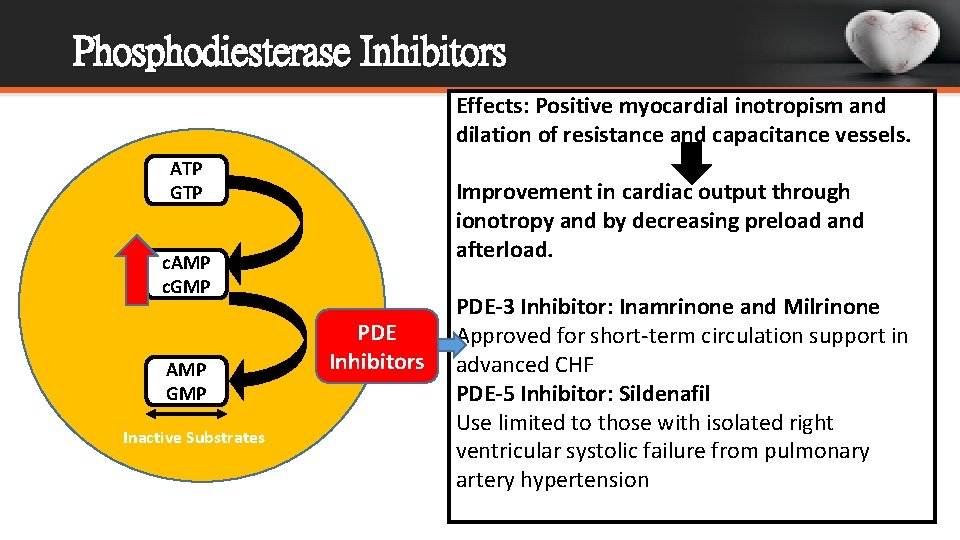Phosphodiesterase Inhibitors Effects: Positive myocardial inotropism and dilation of resistance and capacitance vessels. ATP