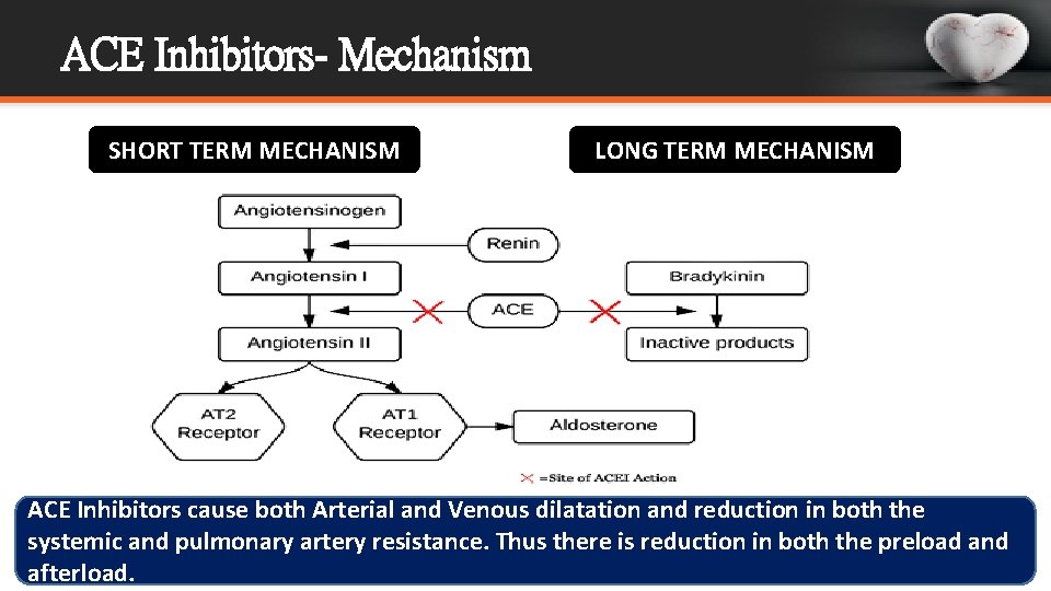 ACE Inhibitors- Mechanism SHORT TERM MECHANISM LONG TERM MECHANISM ACE Inhibitors cause both Arterial