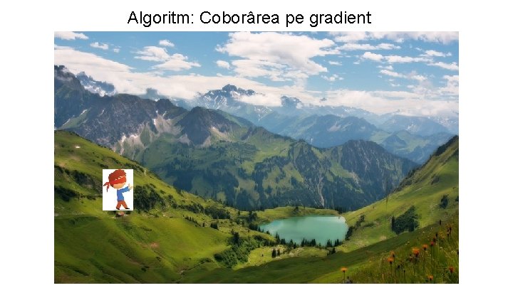 Algoritm: Coborârea pe gradient 