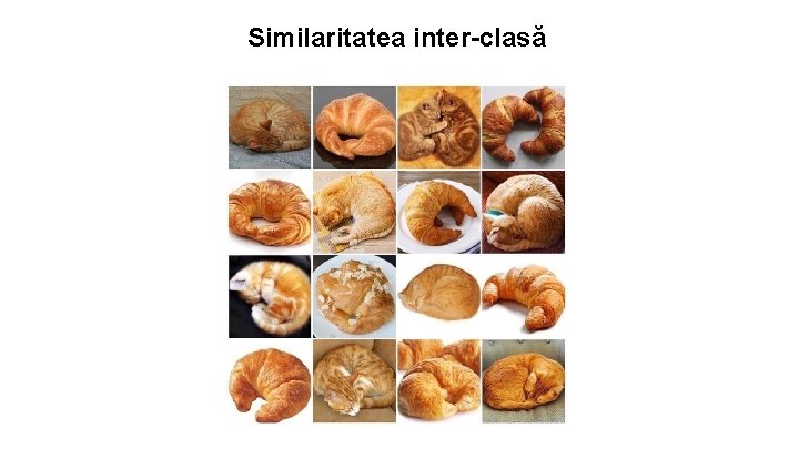 Similaritatea inter-clasă 