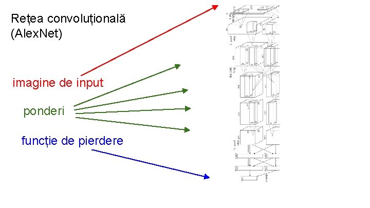 Rețea convoluțională (Alex. Net) imagine de input ponderi funcție de pierdere 