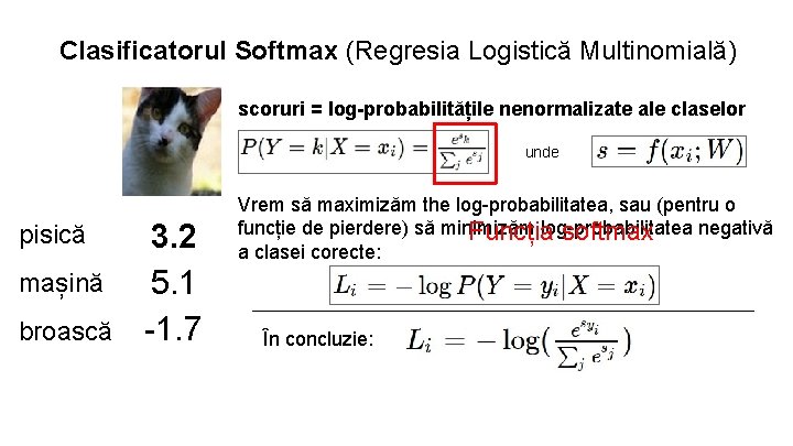 Clasificatorul Softmax (Regresia Logistică Multinomială) scoruri = log-probabilitățile nenormalizate ale claselor unde pisică mașină