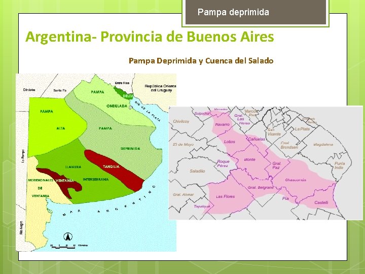 Pampa deprimida Argentina- Provincia de Buenos Aires Pampa Deprimida y Cuenca del Salado 