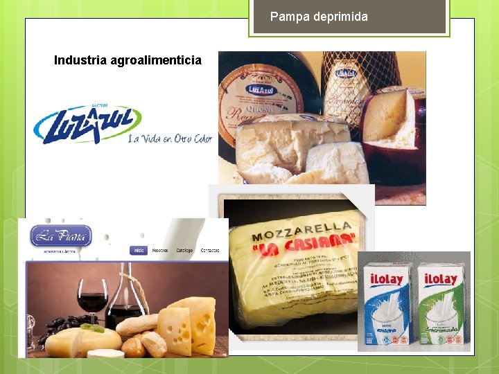 Pampa deprimida Industria agroalimenticia 