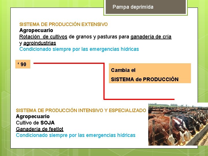 Pampa deprimida SISTEMA DE PRODUCCIÓN EXTENSIVO Agropecuario Rotación de cultivos de granos y pasturas