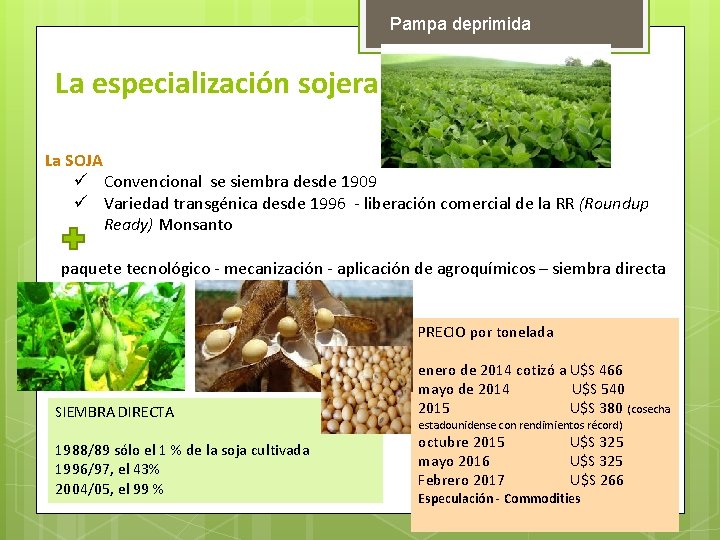 Pampa deprimida La especialización sojera La SOJA ü Convencional se siembra desde 1909 ü