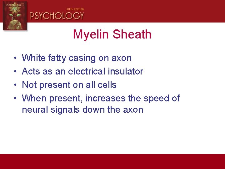 Myelin Sheath • • White fatty casing on axon Acts as an electrical insulator