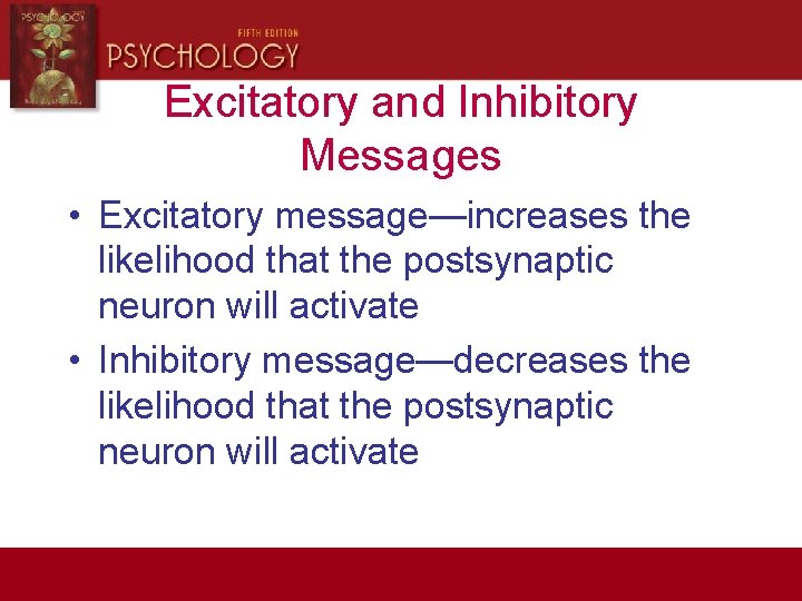 Excitatory and Inhibitory Messages • Excitatory message—increases the likelihood that the postsynaptic neuron will