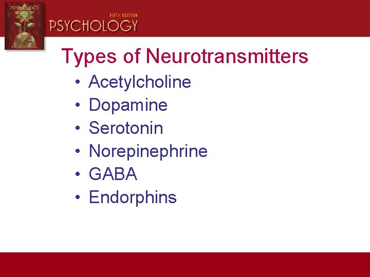 Types of Neurotransmitters • • • Acetylcholine Dopamine Serotonin Norepinephrine GABA Endorphins 