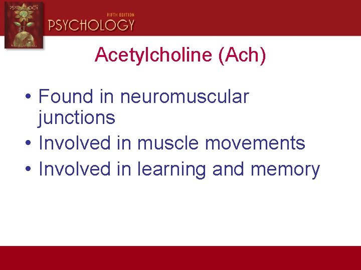 Acetylcholine (Ach) • Found in neuromuscular junctions • Involved in muscle movements • Involved