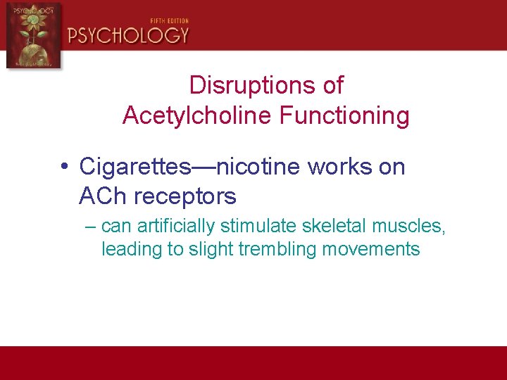 Disruptions of Acetylcholine Functioning • Cigarettes—nicotine works on ACh receptors – can artificially stimulate