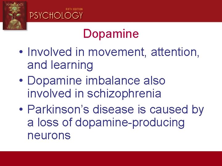 Dopamine • Involved in movement, attention, and learning • Dopamine imbalance also involved in