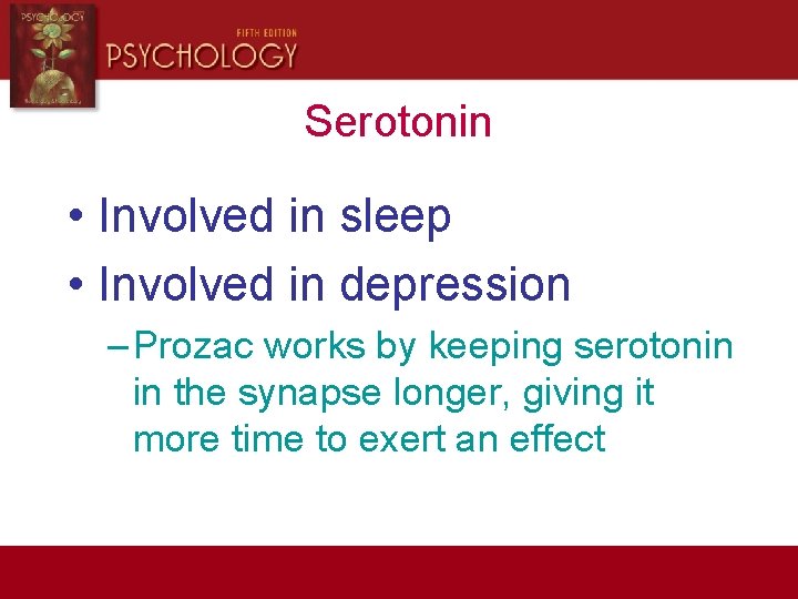 Serotonin • Involved in sleep • Involved in depression – Prozac works by keeping