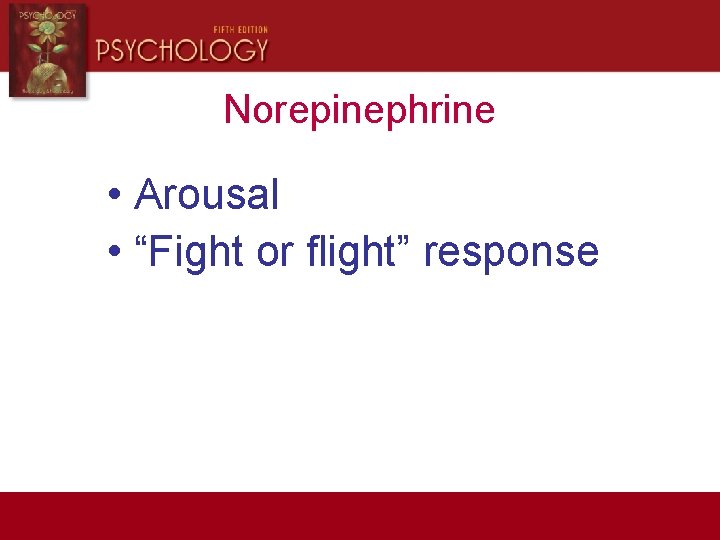 Norepinephrine • Arousal • “Fight or flight” response 