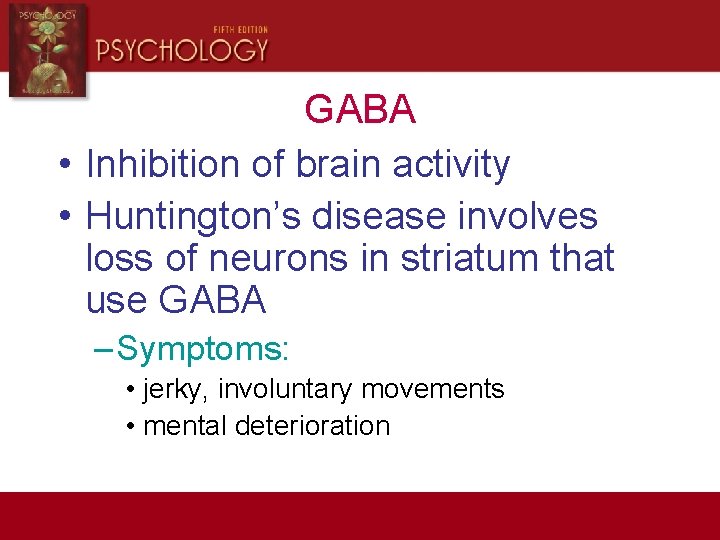 GABA • Inhibition of brain activity • Huntington’s disease involves loss of neurons in