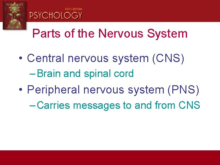 Parts of the Nervous System • Central nervous system (CNS) – Brain and spinal