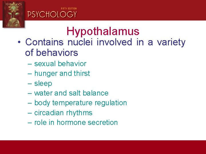 Hypothalamus • Contains nuclei involved in a variety of behaviors – sexual behavior –
