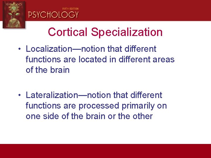 Cortical Specialization • Localization—notion that different functions are located in different areas of the