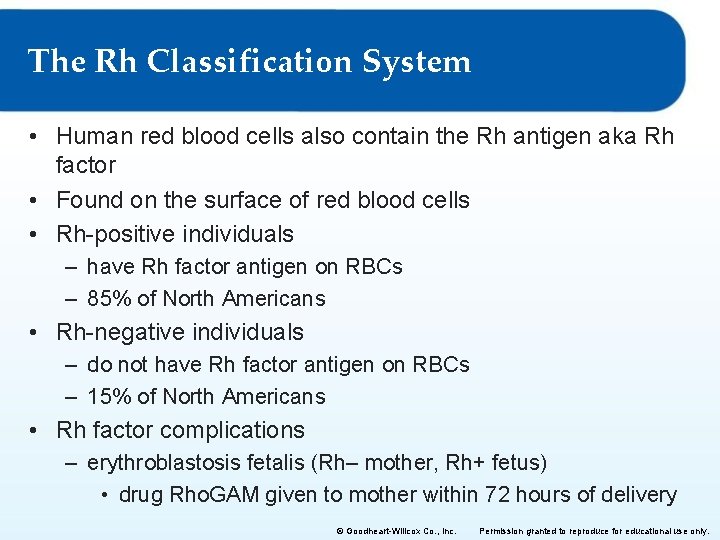 The Rh Classification System • Human red blood cells also contain the Rh antigen