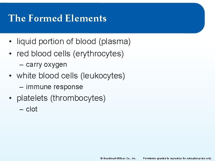 The Formed Elements • liquid portion of blood (plasma) • red blood cells (erythrocytes)