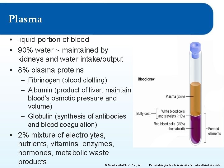 Plasma • liquid portion of blood • 90% water ~ maintained by kidneys and