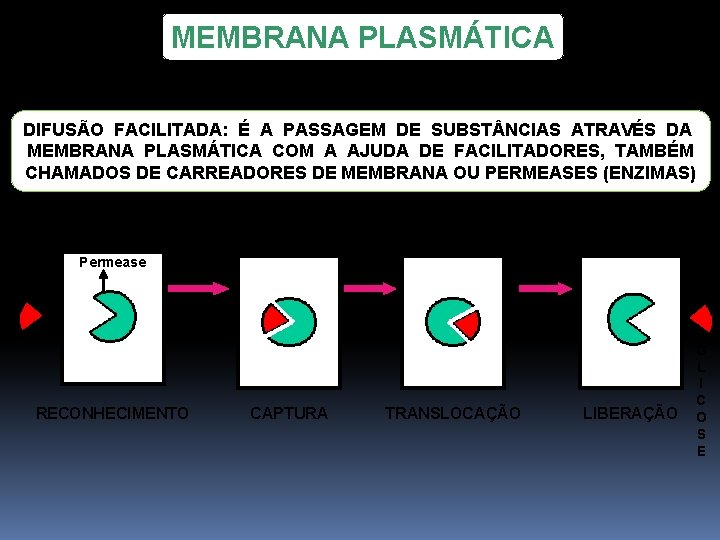 MEMBRANA PLASMÁTICA DIFUSÃO FACILITADA: É A PASSAGEM DE SUBST NCIAS ATRAVÉS DA MEMBRANA PLASMÁTICA