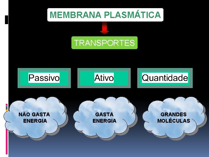 MEMBRANA PLASMÁTICA TRANSPORTES NÃO GASTA ENERGIA GRANDES MOLÉCULAS 