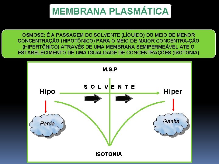 MEMBRANA PLASMÁTICA OSMOSE: É A PASSAGEM DO SOLVENTE (LÍQUIDO) DO MEIO DE MENOR CONCENTRAÇÃO