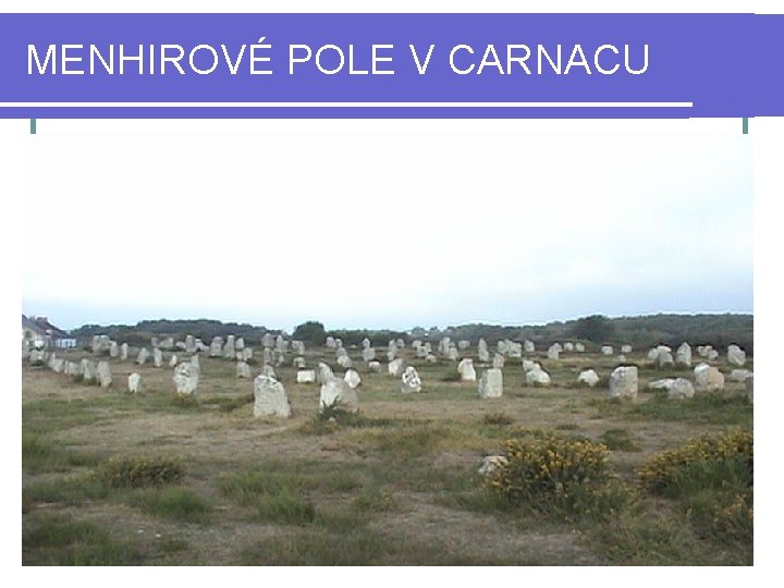 MENHIROVÉ POLE V CARNACU 