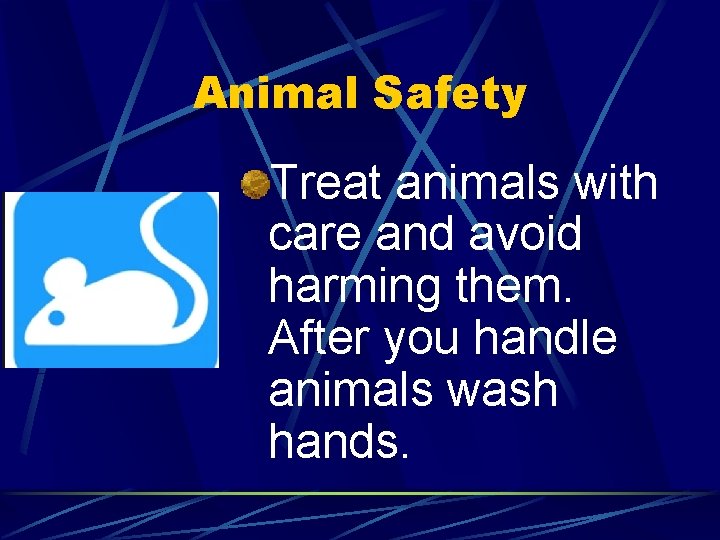 Animal Safety Treat animals with care and avoid harming them. After you handle animals