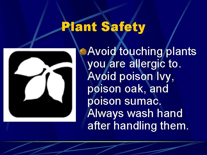 Plant Safety Avoid touching plants you are allergic to. Avoid poison Ivy, poison oak,