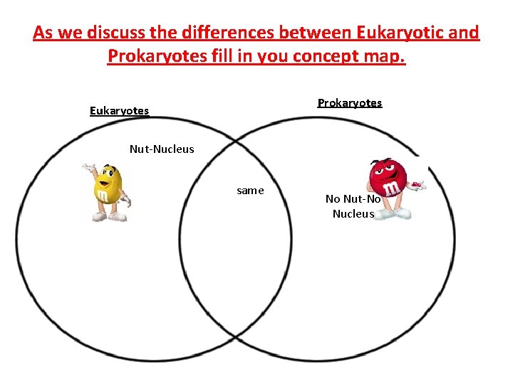 As we discuss the differences between Eukaryotic and Prokaryotes fill in you concept map.