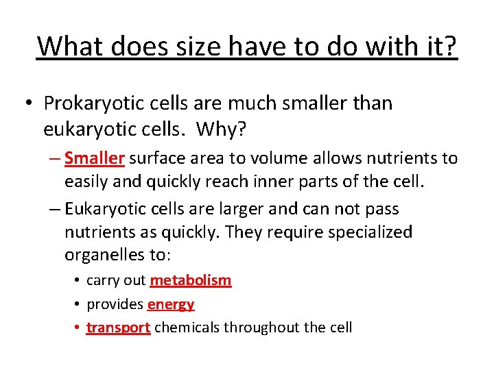 What does size have to do with it? • Prokaryotic cells are much smaller