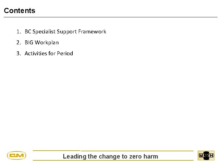 Contents 1. BC Specialist Support Framework 2. BIG Workplan 3. Activities for Period Leading
