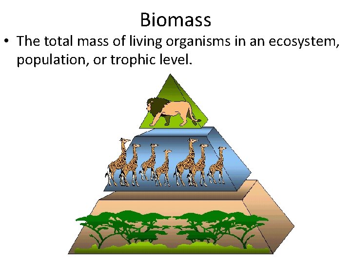 Biomass • The total mass of living organisms in an ecosystem, population, or trophic