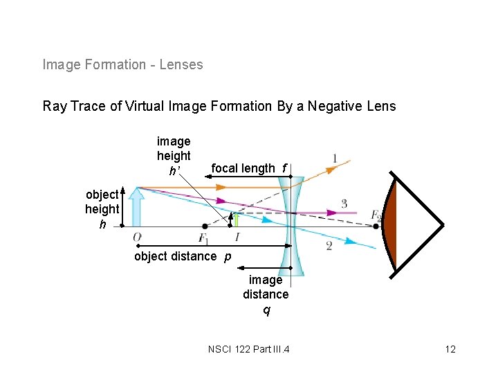 Image Formation - Lenses Ray Trace of Virtual Image Formation By a Negative Lens Image Formation - Lenses Ray Trace of Virtual Image Formation By a Negative Lens