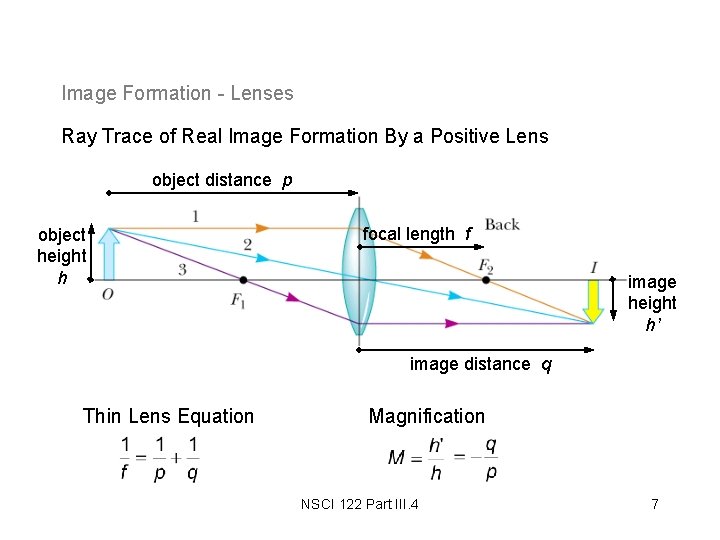 Image Formation - Lenses Ray Trace of Real Image Formation By a Positive Lens Image Formation - Lenses Ray Trace of Real Image Formation By a Positive Lens