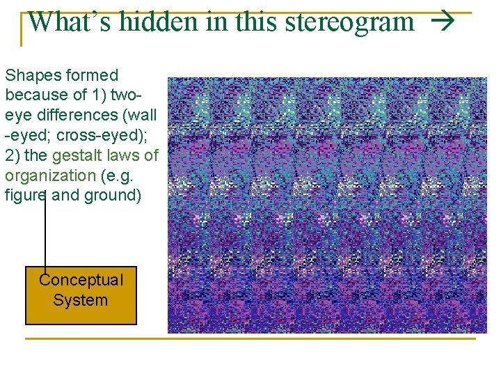 What’s hidden in this stereogram Shapes formed because of 1) twoeye differences (wall -eyed;