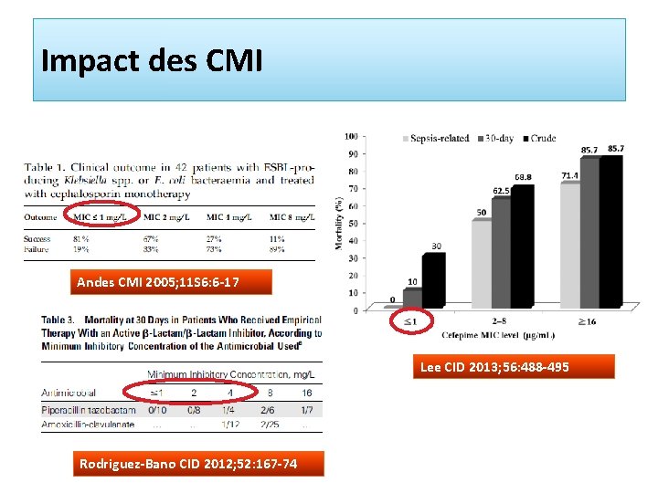 Impact des CMI Andes CMI 2005; 11 S 6: 6 -17 Lee CID 2013;